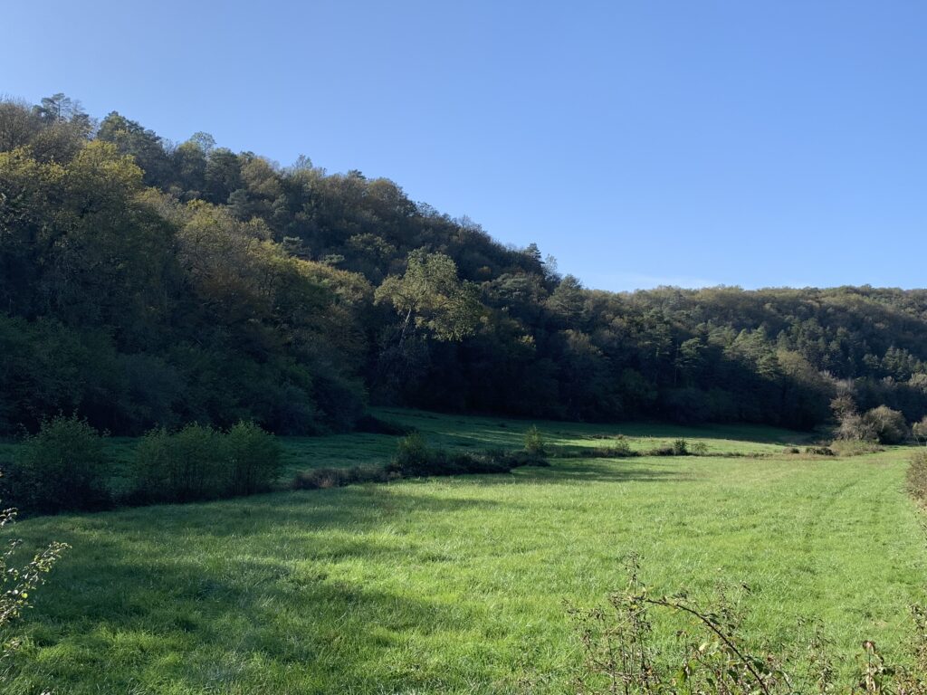 Côteau boisé - Paysages Campagne Périgord Noir