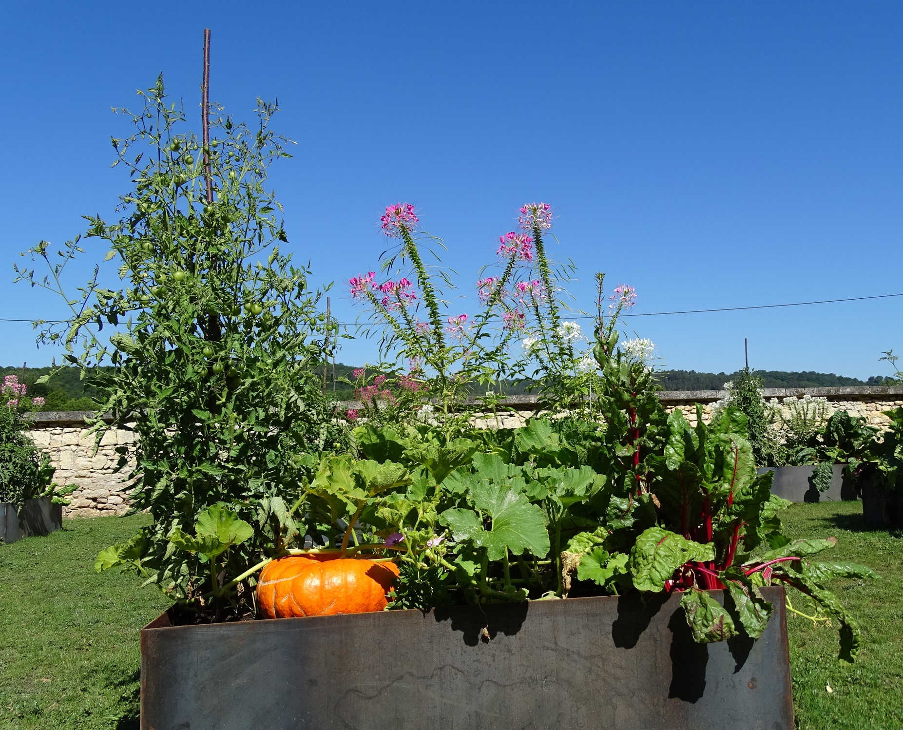 Le potager - patrimoine historique Campagne